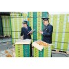 上海龙眼进口报关代理公司