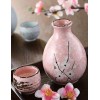厦门日本清酒洋酒进口报关有什么要求