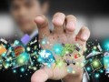 农业电商专题研究报告2016
