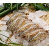 青岛进口章鱼行情分析