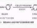 偶氮燃料超标或致癌 哪些产品含有偶氮染料