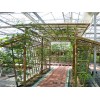 竹花架建造哪家强?竹花架建造价格哪家实惠？蜀竹建筑供