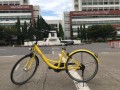 ofo小黄车进驻泰国 每月将投放6000辆