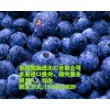 江门水果进口报关公司