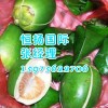 台湾槟榔进口报关需要什么资料