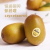 法国猕猴桃进口清关代理公司