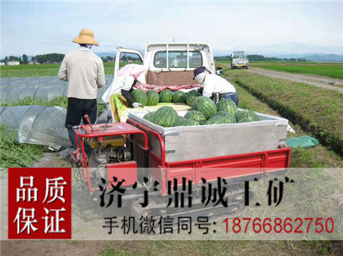 5 履带式运输车 (3)