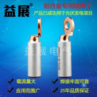 DTL-2-50铜铝过渡端头，铝合金铜铝线鼻子厂家