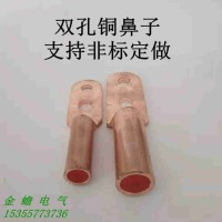 非标定做 双孔铜鼻子 DTS-70平方双孔线鼻子 铜接线端子