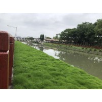 生态混凝土-植被混凝土-BSC生物基质混凝土-绿化混凝土