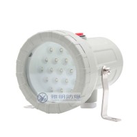 BSD96-12V24V36V220V防爆LED视孔灯