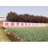 潮州墙体广告制作广告安装那些特点