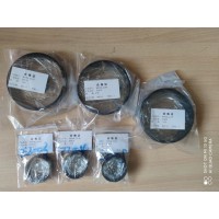 WP18L.WP25L.WP32L.船用压缩机活塞环