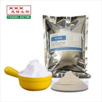耐高温淀粉酶 Thermostable Amylase