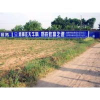 漯河乡镇墙体广告 墙面喷绘广告 乡村墙体广告