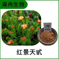 森冉生物 红景天提取物 红景天甙 植物提取原料粉