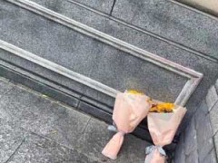 男孩校内被撞离世后，母亲坠楼身亡！“她刚失去孩子，又遭网暴”