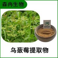 森冉生物 乌蔹莓提取物 五爪藤提取物 植物提取原料粉