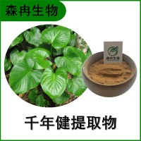 森冉生物 千年健提取物 一包针提取物 植物提取原料粉