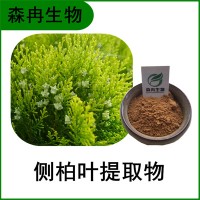 森冉生物 侧柏叶提取物 扁柏叶提取物 比例提取原料粉
