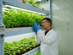 高质量发展调研行丨科大硅谷奏起科创“交响乐”
