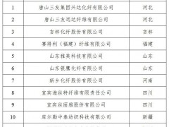 12家企业入列《粘胶纤维行业规范条件(2024版)》企业名单