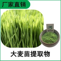 森冉生物 大麦苗提取物 大麦苗粉 植物提取原料粉
