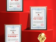骆驼连续5年销量第一，户外市场的“顶流”