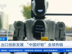 智能玩具、搬运机器人 “中国好物”凭实力被全球种草